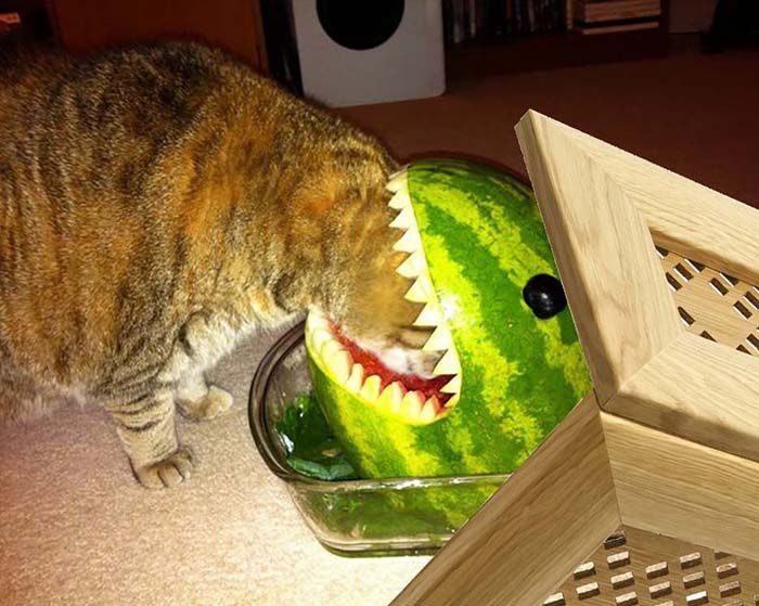 Выбор экрана на радиатор. Августовские советы Выбор экрана на радиатор. Августовские советы